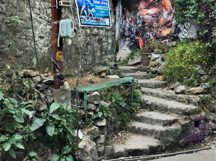 365 Bhagsu Road