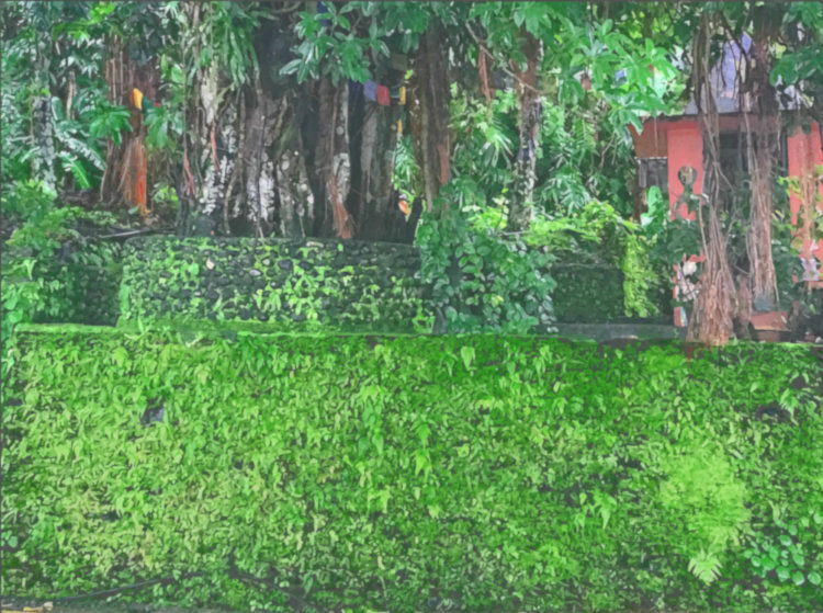 Pokhara Banyan Wall