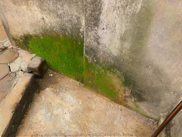 Kathmandu Cafe Step