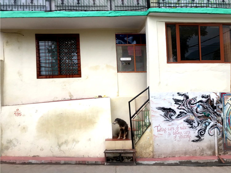 Tsona House