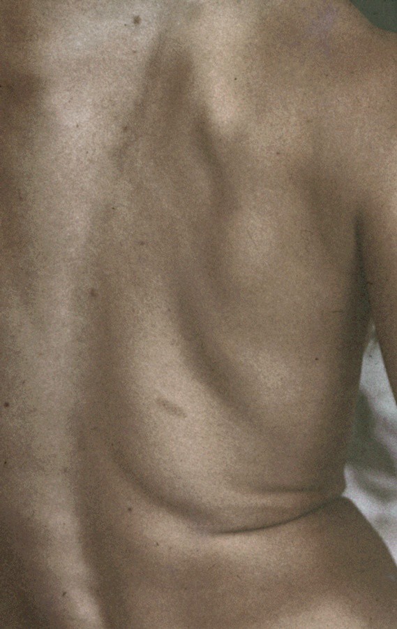 Fictitious Anatomy