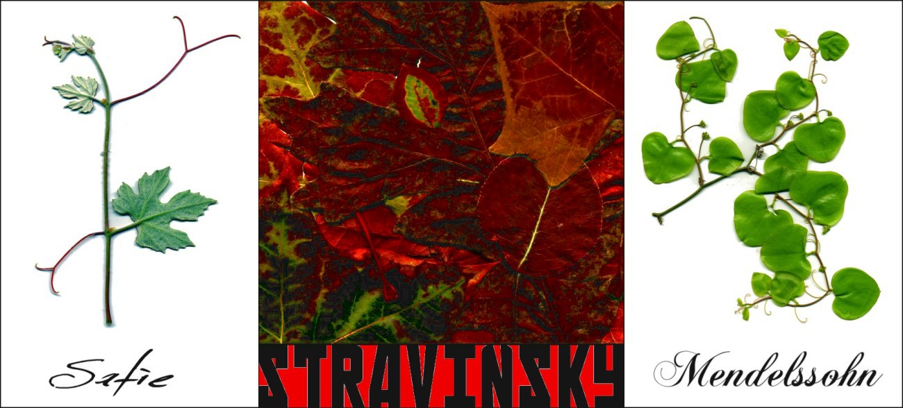 Leaf Mass Trio