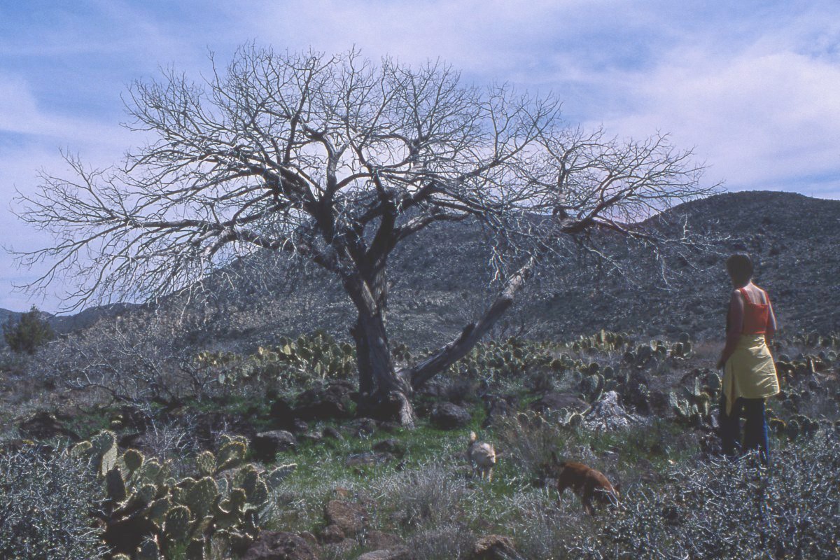 Merry near Skull Valley