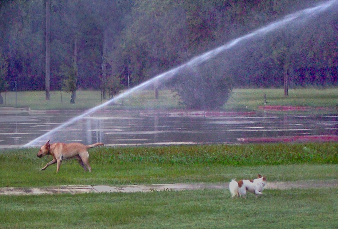 Petey and Maya at the Park