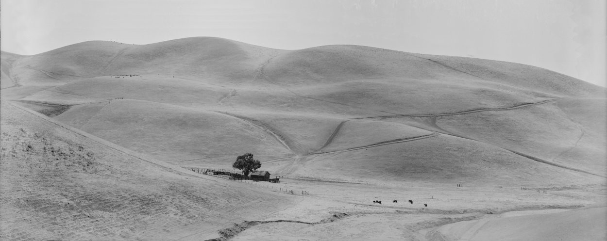Grazing Land