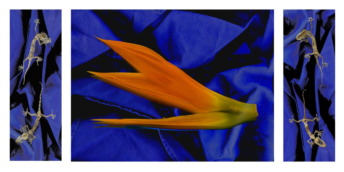 Triptych with lizards